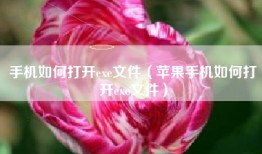 手机如何打开exe文件（苹果手机如何打开exe文件）