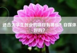适合大学生创业的项目有哪些？自媒体好吗？