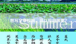 想写文章投稿，可以投向哪里？