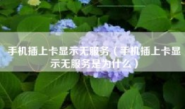 手机插上卡显示无服务（手机插上卡显示无服务是为什么）