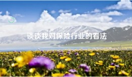 谈谈我对保险行业的看法