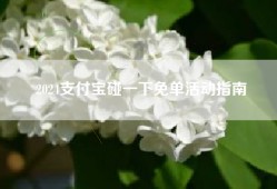 2024支付宝碰一下免单活动指南