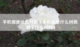 手机膜是什么材质（手机膜是什么材质,属于什么材料）