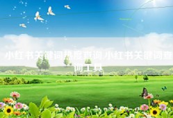 小红书关键词热度查询,小红书关键词查询工具