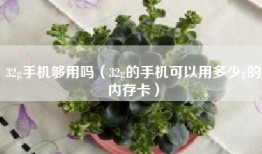 32g手机够用吗（32g的手机可以用多少g的内存卡）
