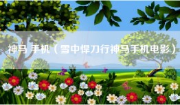 神马 手机（雪中悍刀行神马手机电影）