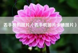 丢手机的图片（丢手机图片卡通图片）
