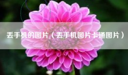 丢手机的图片（丢手机图片卡通图片）