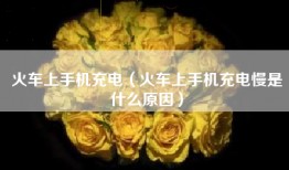 火车上手机充电（火车上手机充电慢是什么原因）