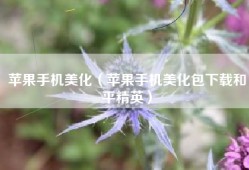 苹果手机美化（苹果手机美化包下载和平精英）