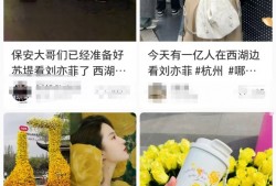 今天西湖含“星”量极高，刘亦菲、林更新都在