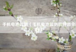 手机电池监测（手机电池监测软件哪个好）