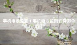 手机电池监测（手机电池监测软件哪个好）