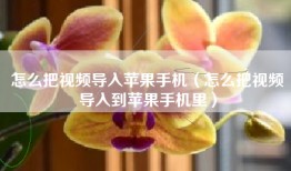 怎么把视频导入苹果手机（怎么把视频导入到苹果手机里）