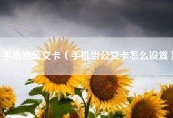手机当公交卡（手机当公交卡怎么设置）