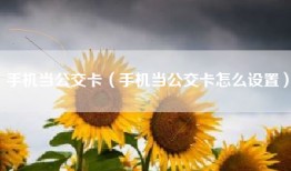 手机当公交卡（手机当公交卡怎么设置）