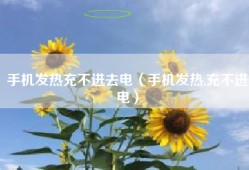 手机发热充不进去电（手机发热,充不进电）