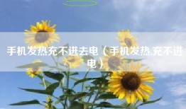 手机发热充不进去电(手机发热,充不进电)