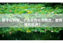 数字化转型，于企业和社会而言，都有哪些机遇？