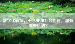 数字化转型，于企业和社会而言，都有哪些机遇？