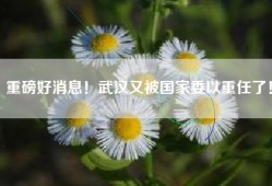 重磅好消息！武汉又被国家委以重任了！