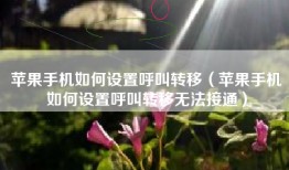 苹果手机如何设置呼叫转移（苹果手机如何设置呼叫转移无法接通）