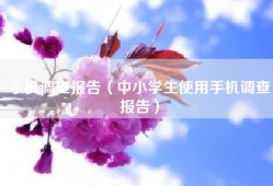 手机调查报告（中小学生使用手机调查报告）