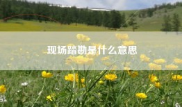 现场踏勘是什么意思