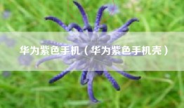 华为紫色手机（华为紫色手机壳）