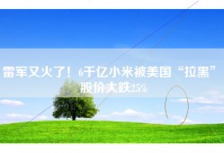 雷军又火了！6千亿小米被美国“拉黑”！股价大跌25%