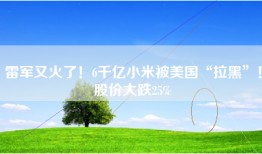 雷军又火了！6千亿小米被美国“拉黑”！股价大跌25%