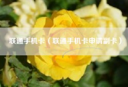 联通手机卡（联通手机卡申请副卡）