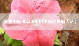 手机电脑键盘（手机电脑键盘输入法）