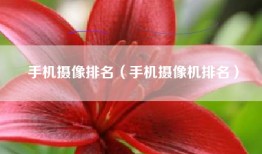 手机摄像排名（手机摄像机排名）