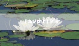【新站优化】资讯