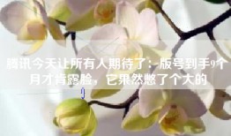 腾讯今天让所有人期待了：版号到手9个月才肯露脸，它果然憋了个大的