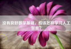 没有良好数学基础，应该怎样学习人工智能？