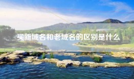 买新域名和老域名的区别是什么