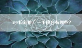 APP拉新推广一手接台有哪些？