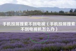 手机投屏搜索不到电视（手机投屏搜索不到电视机怎么办）