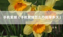 手机紫屏（手机紫屏怎么办能撑多久）