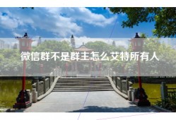 微信群不是群主怎么艾特所有人