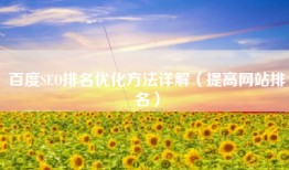 百度SEO排名优化方法详解（提高网站排名）