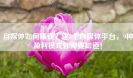 自媒体如何赚钱？这8个自媒体平台，9种盈利模式你需要知道！