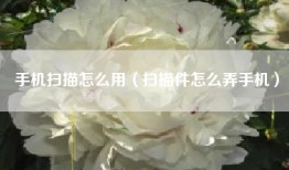 手机扫描怎么用(扫描件怎么弄手机)