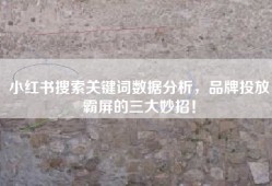 小红书搜索关键词数据分析，品牌投放霸屏的三大妙招！