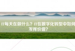 IT每天在做什么？IT在数字化转型中如何发挥价值？