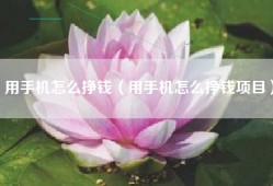 用手机怎么挣钱（用手机怎么挣钱项目）