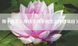 用手机怎么挣钱（用手机怎么挣钱项目）