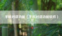 手机对讲功能（手机对讲功能软件）